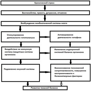 Влияние хронического стресса на здоровье